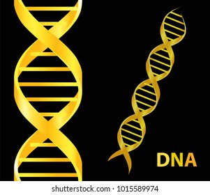 Gold and Dna icon. Dna symbol. Dna helix symbol. Gene icon. Vector illustration on black background