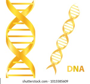 Gold Dna. Dna Symbol. Dna Helix Symbol. Gene Icon. Vector Illustration On White Background