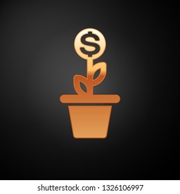 Gold Dollar plant in the pot icon isolated on black background. Business investment growth concept. Money savings and investment. Vector Illustration