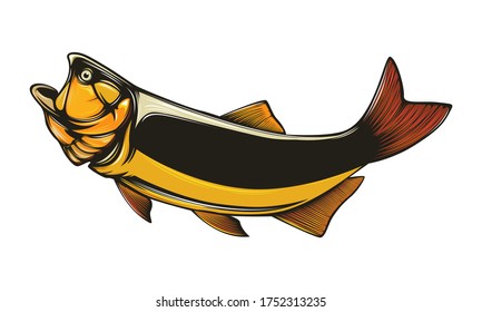 Gold Dorado Fishing  Logo. Salminus Brasiliensis Fish Club Emblem. Fishing Theme Illustration. Isolated On White.