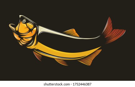 Gold dorado fishing  logo. Salminus brasiliensis fish club emblem. Fishing theme illustration. Isolated on white.