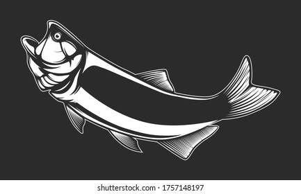 Gold dorado fishing  logo. Salminus brasiliensis fish club emblem. Fishing theme illustration. Isolated on white.