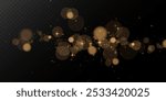 Gold dust light png. Bokeh glow lights lights background effect. Christmas background glowing dust Christmas glowing lights bokeh light confetti and glitter texture overlay for your design.
