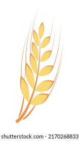 Gold ear of wheat semi flat color vector object. Full sized item on white. Agricultural nature. Ancient greek symbol. Simple cartoon style illustration for web graphic design and animation