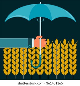 Gold ears of wheat under the protection of the umbrella. Protectionism of agriculture. To protect the grain harvest. Torrential rains flooded the fields.