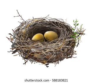 Gold eggs in Bird's Nest.
Hand drawn vector illustration of a nest with two golden eggs, surrounded by green shoots, on transparent background.
