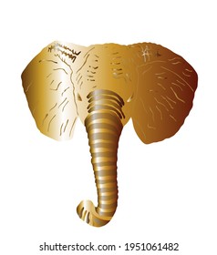 Gold elephant head vector illustration isolated on white background. Golden elephant male, African animal, safari attraction.