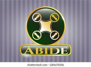  Gold emblem or badge with air drone icon and Abide text inside