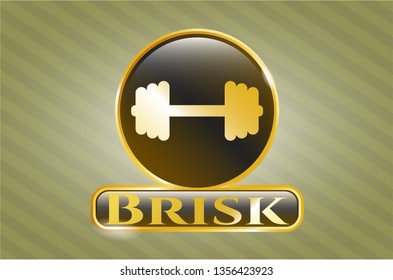  Gold emblem or badge with big dumbbell icon and Brisk text inside