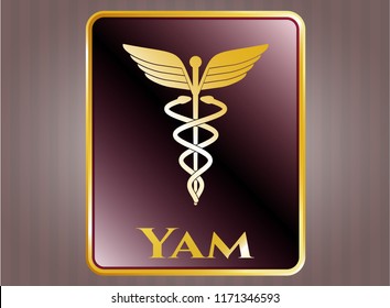  Gold emblem or badge with Caduceus medical icon and Yam text inside