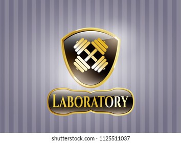  Gold emblem or badge with dumbbell icon and Laboratory text inside