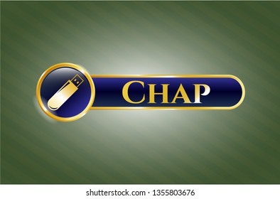  Gold emblem or badge with flash drive icon and Chap text inside
