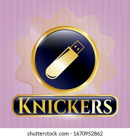  Símbolo dorado o placa con icono de la unidad flash y texto de los Knickers dentro