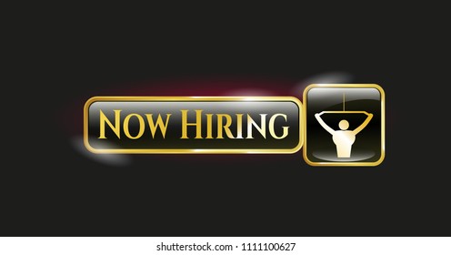   Gold emblem or badge with lat pull down, exercise icon and Now Hiring text inside