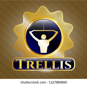  Gold emblem or badge with lat pull down, exercise icon and Trellis text inside