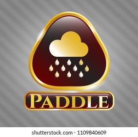   Gold emblem or badge with rain icon and Paddle text inside