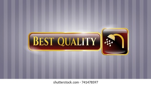  Gold emblem or badge with shower icon and Best Quality text inside