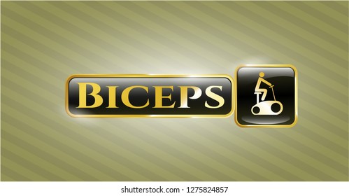  Gold emblem or badge with stationary bike icon and Biceps text inside