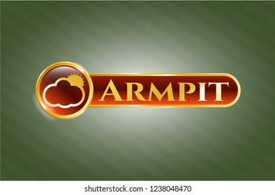  Gold emblem or badge with sun behind cloud icon and Armpit text inside