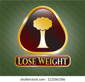  Gold emblem or badge with tree icon and Lose Weight text inside