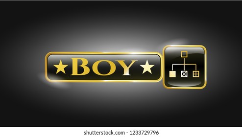  Gold emblem with flowchart icon and Boy text inside