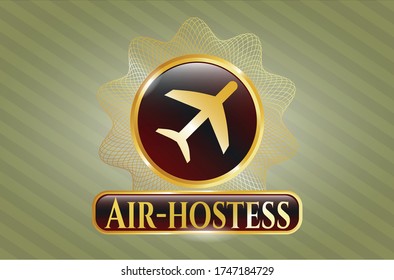 Gold emblem with plane icon and Air-hostess text inside