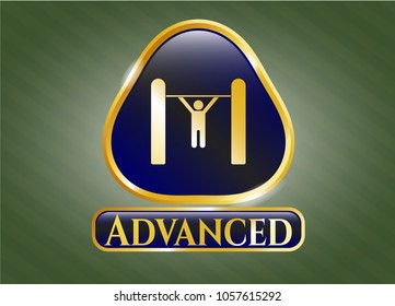  Gold emblem with pull up icon and Advanced text inside
