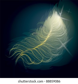 Gold Feather / Night sky background