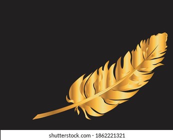 Gold feather on black background with blank space in vector