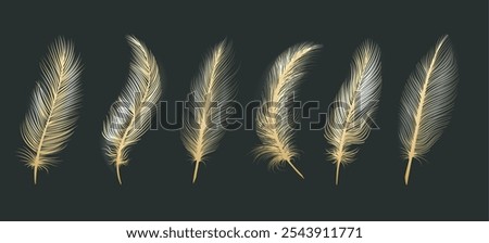 Gold feather set. Golden hand drawn feathers isolated on black vector illustration