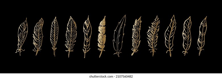 Gold feather sketches set vector illustration. Decorative ornament from bird wing hand drawn in pencil, ink or pen, quills tattoo vintage decoration collection isolated on black