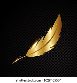 Gold Feather Vector Illustration