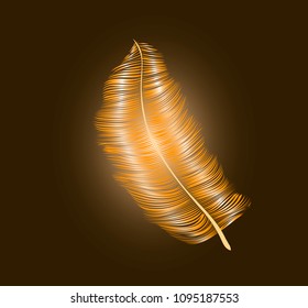 gold feather, vintage designe