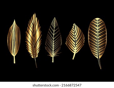 Gold feathers isolated on black background vector illustration