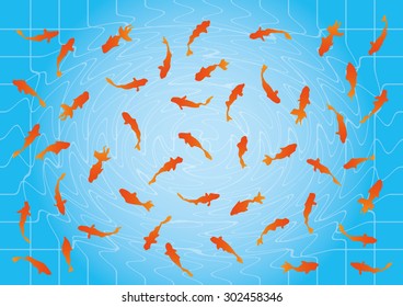 gold fish
