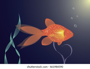 Gold fish