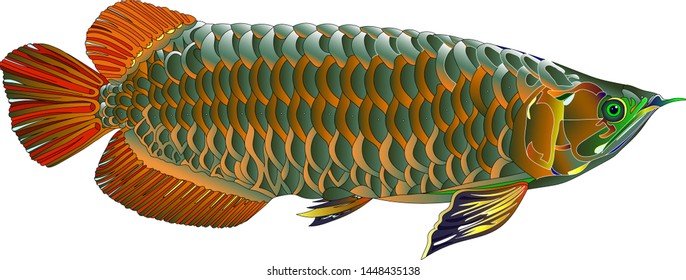 gold fish arowana,tatoo. vector drawing