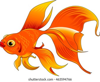Gold fish with bubbles isolated on transparent background