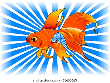 gold fish with bubbles isolated on transparent background