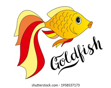 Gold fish cartoon vector illustration. Underwater sea animal vector illustration. Cute yellow-red-orange fish vector illustration with lettering