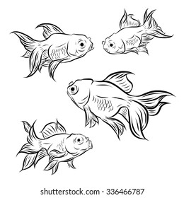 Gold fish collection,Vector illustration of gold fish, Vector illustration