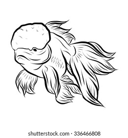 Gold fish collection,Vector illustration of gold fish, Vector illustration