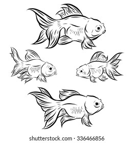 Gold fish collection,Vector illustration of gold fish, Vector illustration