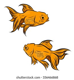 Gold fish collection,Vector illustration of gold fish, Vector illustration
