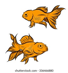 Gold fish collection,Vector illustration of gold fish, Vector illustration