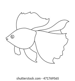 Gold fish icon line. Singe aquarium fish icon from the sea,ocean life collection.