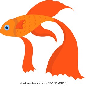 Gold fish, illustration, vector on white background.