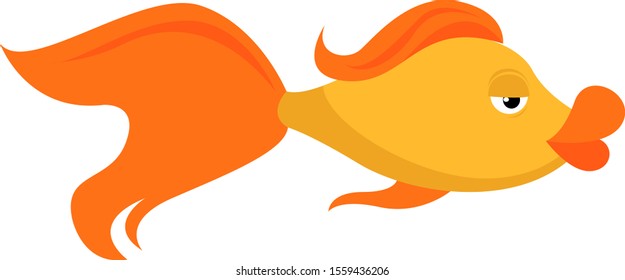 Peixe dourado, ilustração, vetor sobre fundo branco.