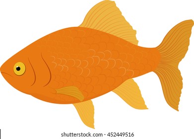 gold fish . Fish isolated on a white background. Vector illustration.