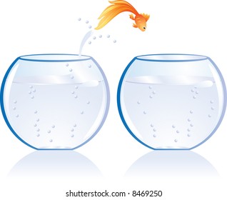 Gold fish jump